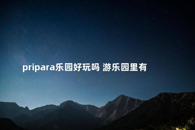 pripara乐园好玩吗 游乐园里有什么好玩的